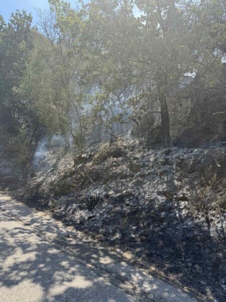 Φωτιά Παλαιομάνινα 772025 (4)