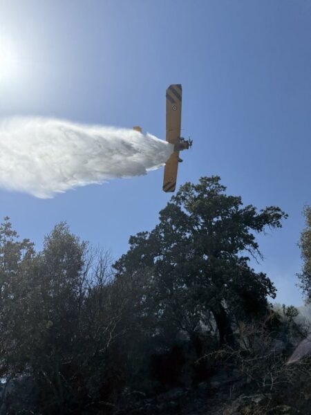 Φωτιά Παλαιομάνινα 772025 (5)