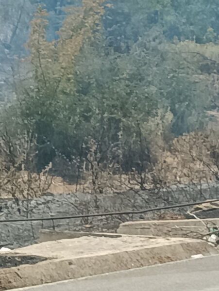 Φωτιά σε όρια Δήμου Ξηρομέρου 1672025 (5)
