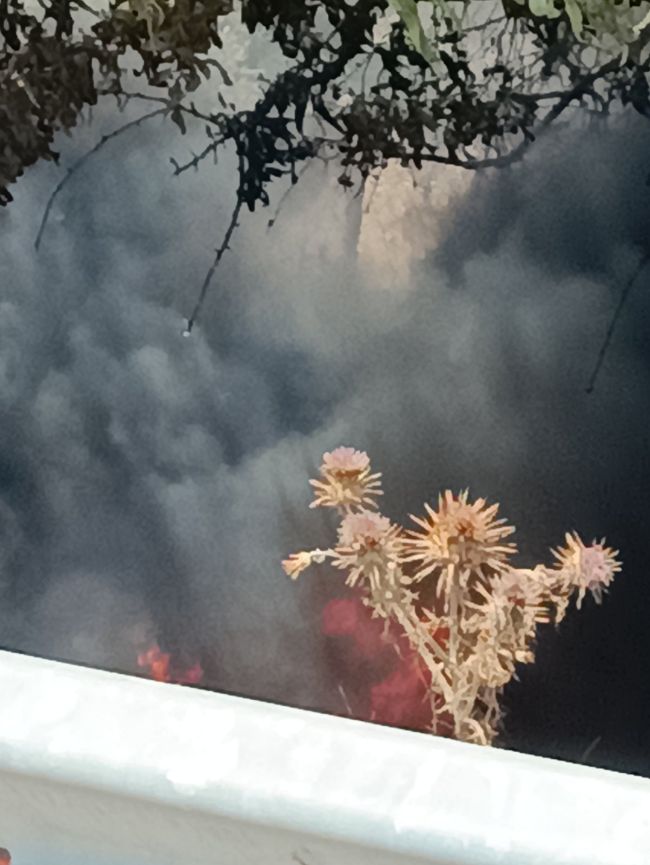 Φωτιά σε όρια Δήμου Ξηρομέρου 1672025 (6)