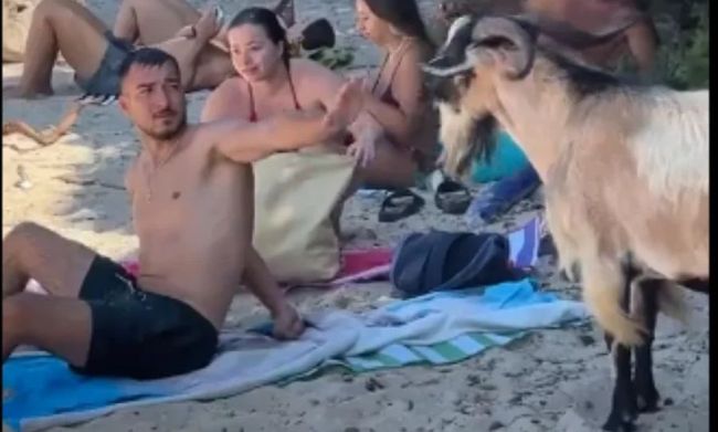 0e67daa6 mochito katsika