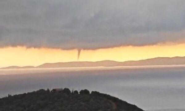 26ca4af8 ydrostrobilos