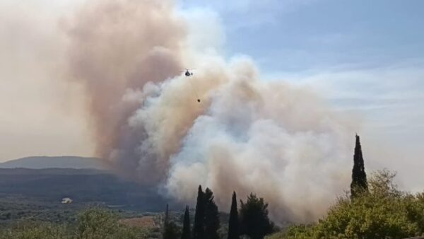 34d7d395 d4b3 4aa2 9b37 fab52f19f128