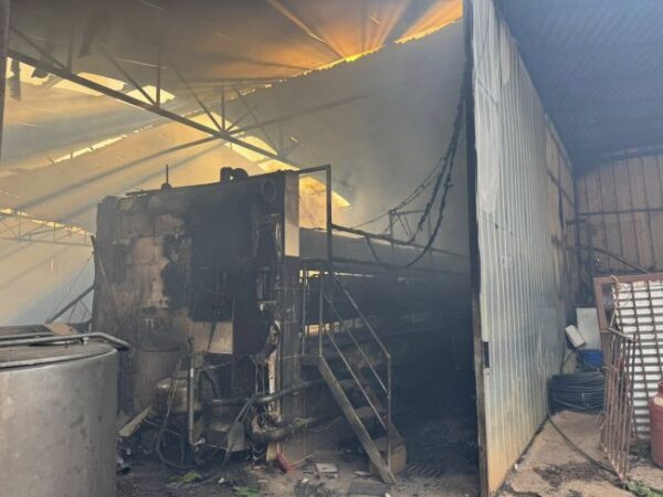 514287257 1191701326333704 6179161655244332910 n