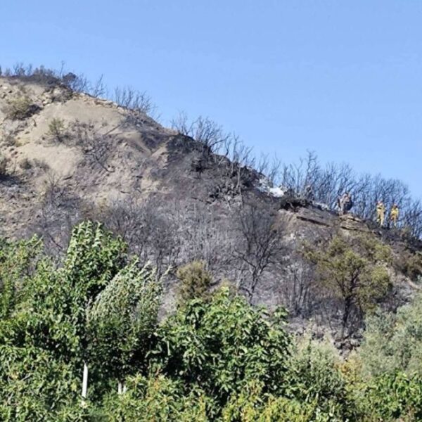 528994955 1465238398357316 5211888891035690631 n