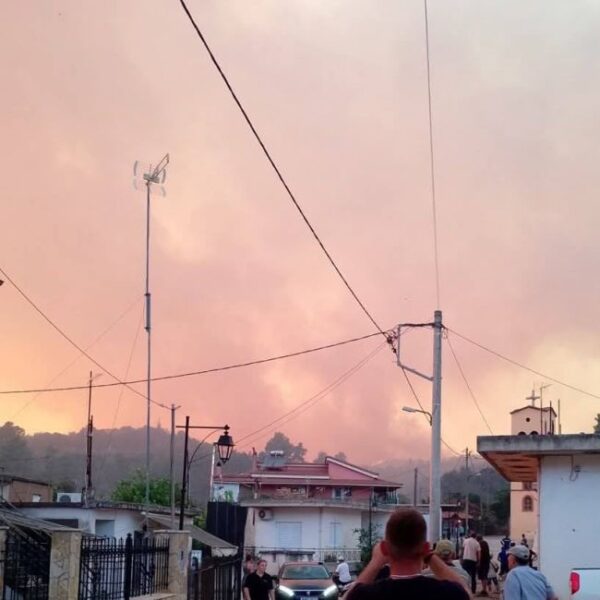 530661810 1465238291690660 1668236684672293315 n