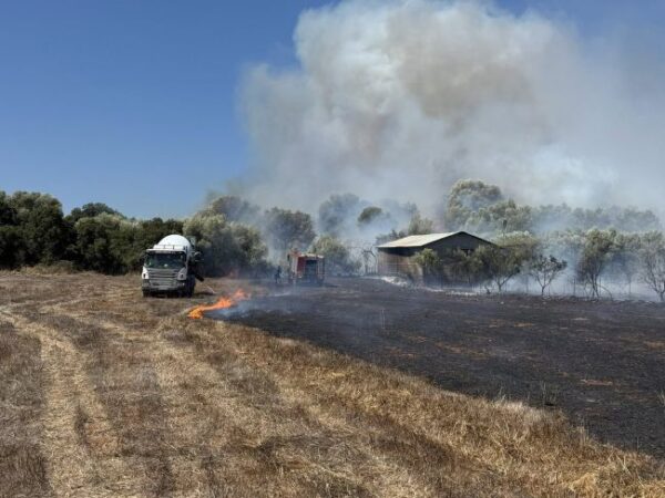 530945397 1191701396333697 5903194431869314887 n