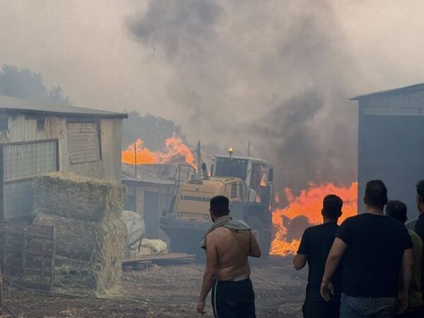 530995723 1191701403000363 435990642664871085 n