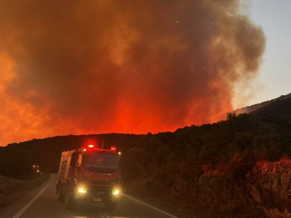 531015346 1191698349667335 6298274424483076898 n