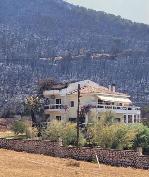 532143405 1468558504691972 8379077348762436943 n