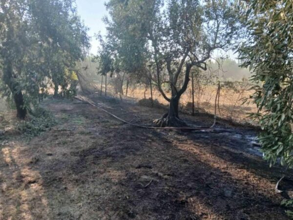 6fb0cdae e6ea 47eb 8fe0 5b9338013b44