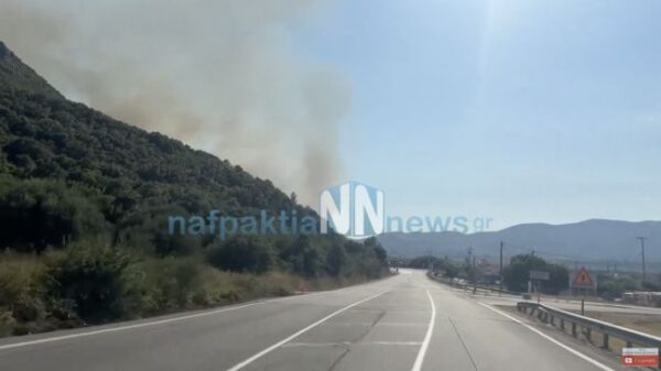 screenshot at aug 02 17 37 36 1 1392x781