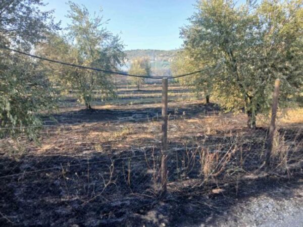 d8984ce6 198e 415c 8d94 39c838756f96