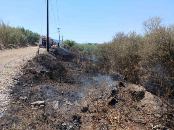 dddf53ae 78fc 4ab1 95f8 949065c3e59d