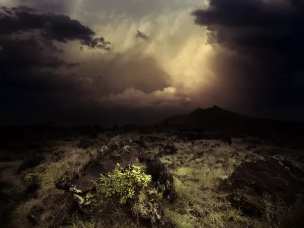 drystorms shutterstock.jpg