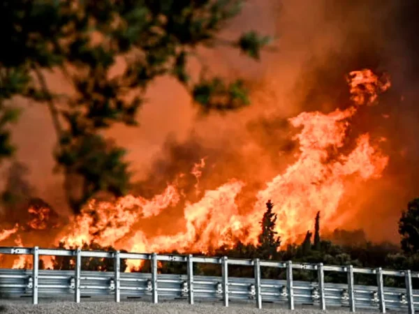 fotia patra 082025 eurokinissi.jpg