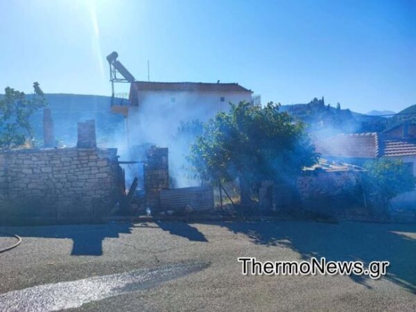 fotia thermo004