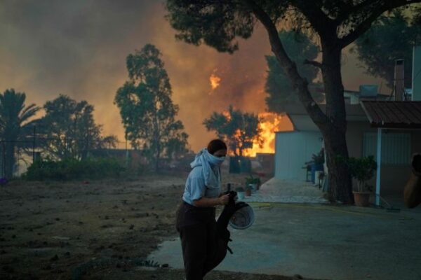 patracity wildfires ap 2