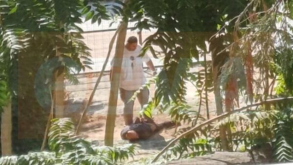 xrwma syllipsi bolos