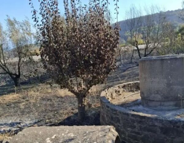 βονιτσα2