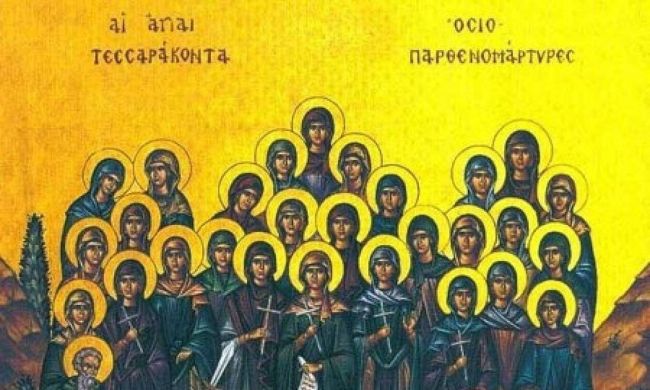 40 parthenes