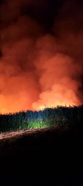 539796430 24400583059590928 1741431524122975797 n