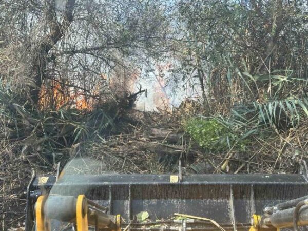 540958223 24400578052924762 3865290285922686391 n