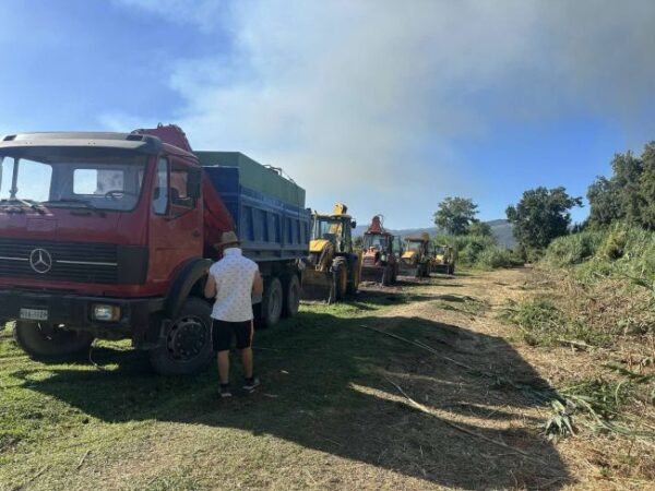 541627803 24400580969591137 7050983082629250705 n