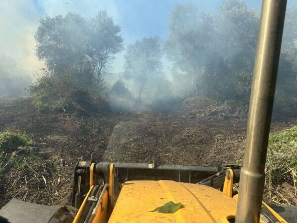 542616166 24400578436258057 1007900443060794831 n