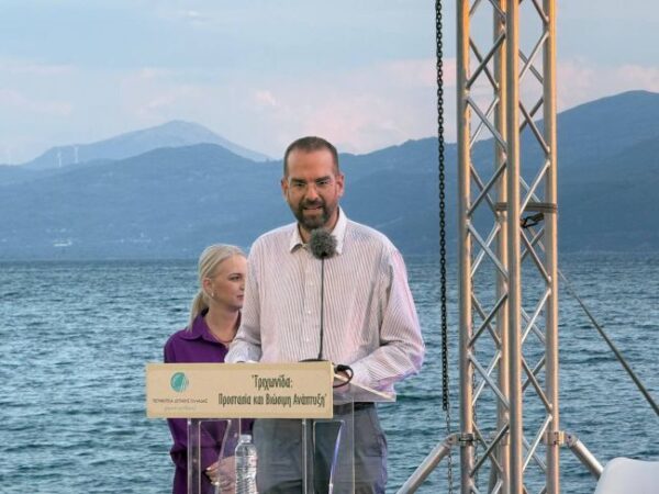 555563018 1510480657166423 960808396403846840 n