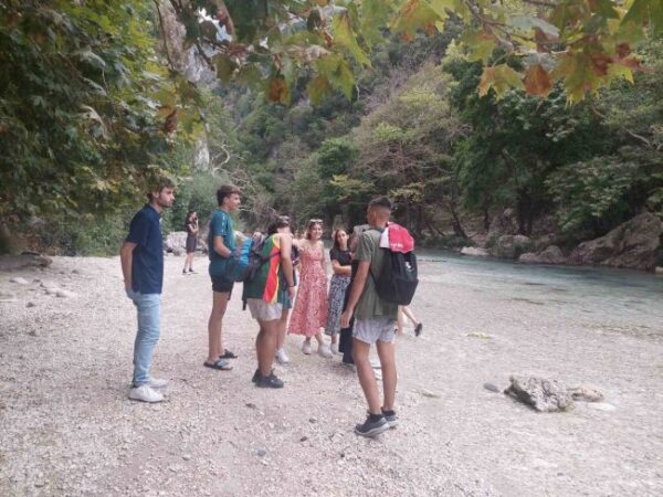 img 08a4fd296efff3db302d0ea039d804d2 v