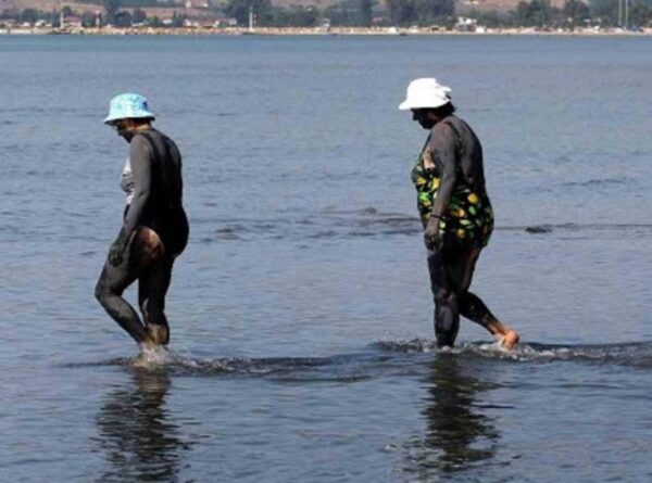 laspoloutra mesologgi a