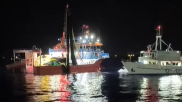 mixcollage 03 sep 2025 01 05 am 1674