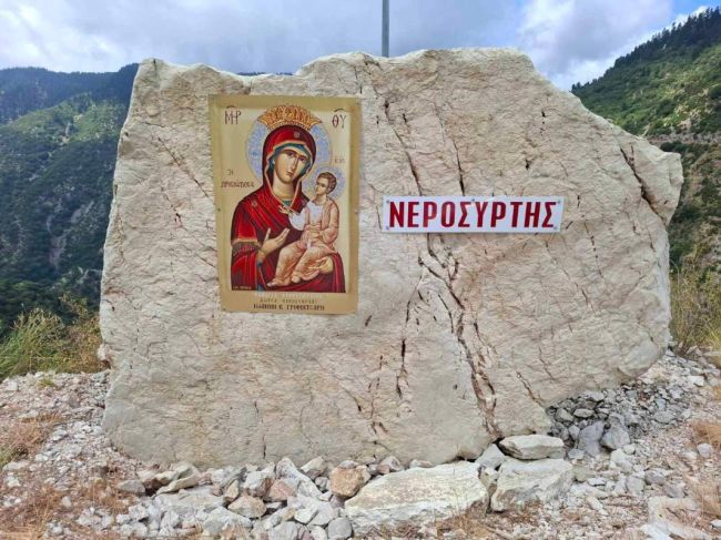 nerosyrtis001