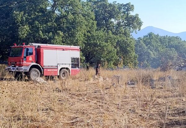 oiniades theatro fotia