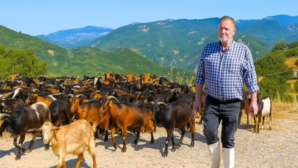 unnamed 2025 09 08t222852.035