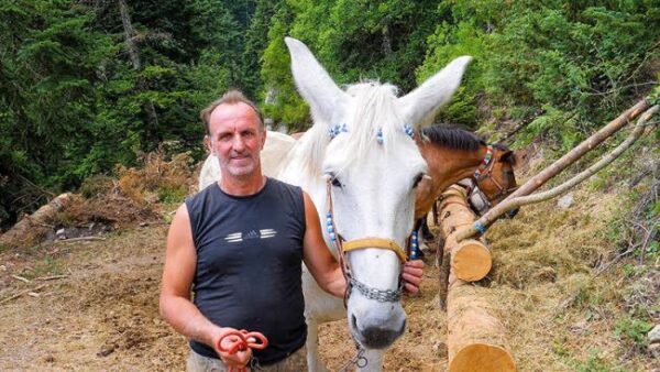 unnamed 2025 09 22t221509.105