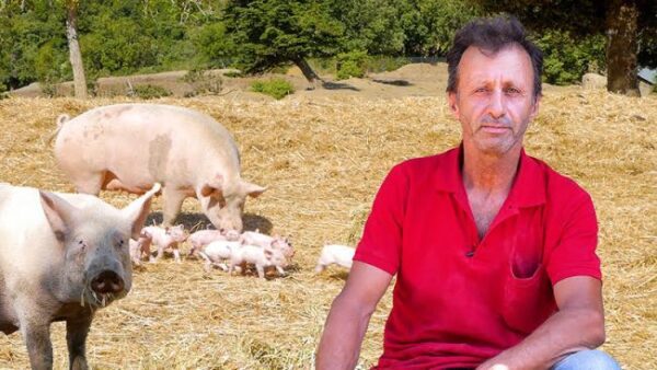 unnamed 2025 09 29t213057.882