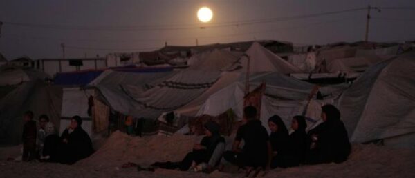 1000 5e3d320e e3b4 4b24 80e6 54e6d85f2a2d