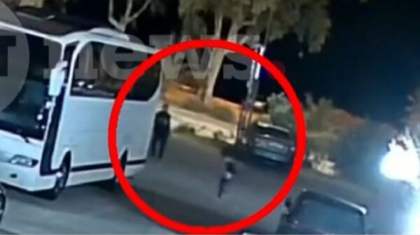 garyfallia patra art