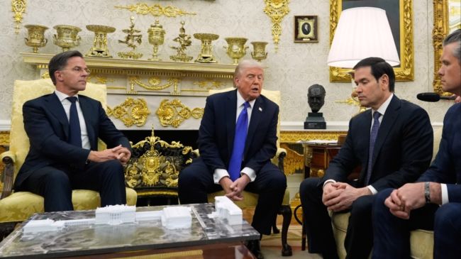 trump rutte