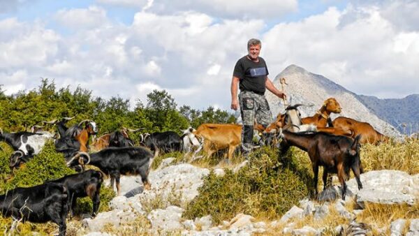 unnamed 2025 10 06t205013.762