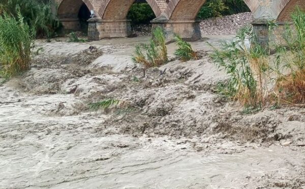 577036451 25218610654425857 2872227798789978122 n