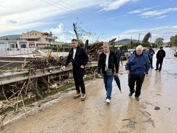 578274786 10242548370344436 9080478701638415586 n