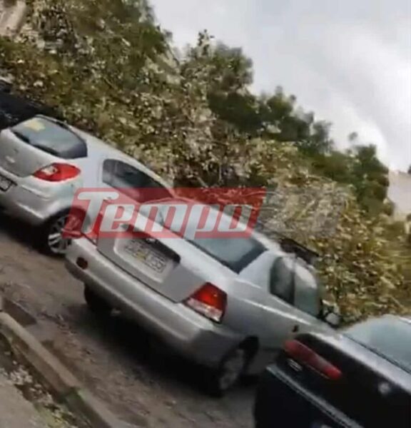 581991046 1228856352414769 2985179012887442187 n