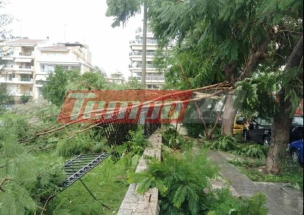 581993599 1887960492126782 2441612417748642052 n 1 1