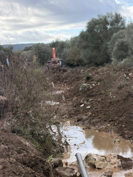 589818536 25463776653219119 1463865440841548665 n