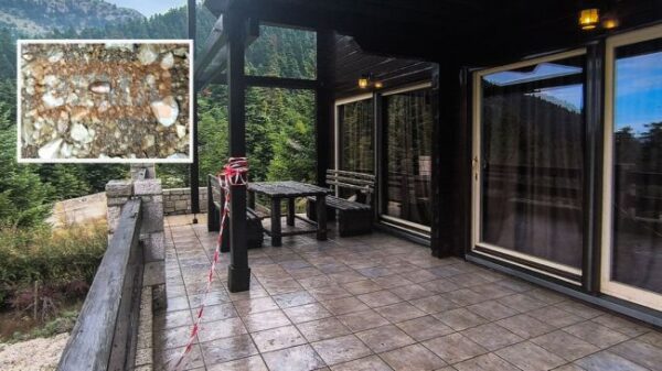 dolofonia araxwba2 xrm