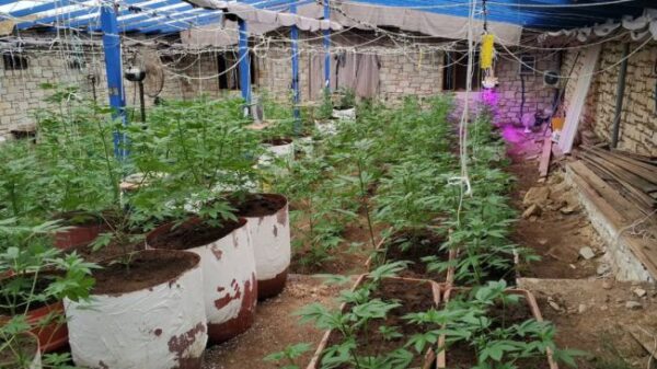 hashish 2 eurokinissi xrwma