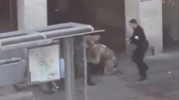 mixcollage 27 nov 2025 04 12 am 9636